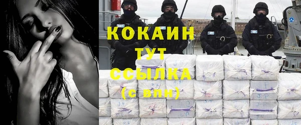 сатива Абаза