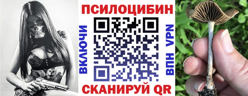 что такое наркотик  Севастополь  Псилоцибиновые грибы мухоморы 