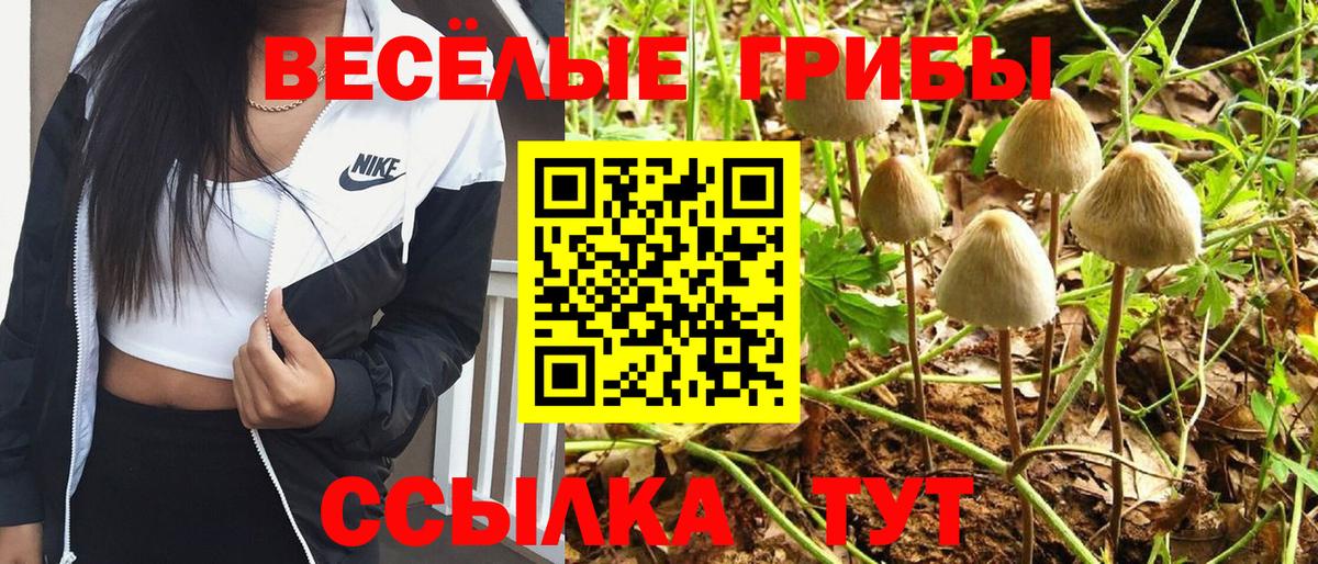 Псилоцибиновые грибы мухоморы Севастополь