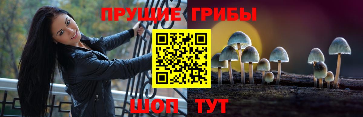 Севастополь  Псилоцибиновые грибы MAGIC MUSHROOMS  Вход с VPN 