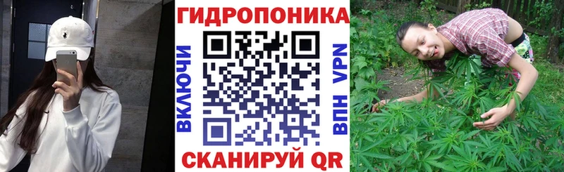 Шишки марихуана планчик  KRAKEN рабочий сайт  Севастополь 